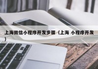 上海微信小程序开发步骤（上海 小程序开发）